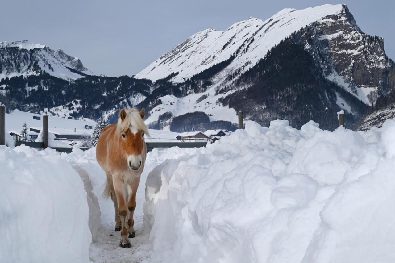 Haus Bergquell Leilighet Au (Vorarlberg) Eksteriør bilde
